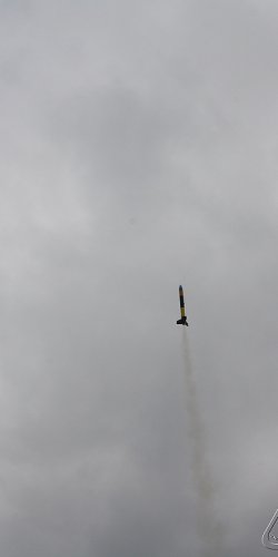 2013 Svojek Mirek Topinka